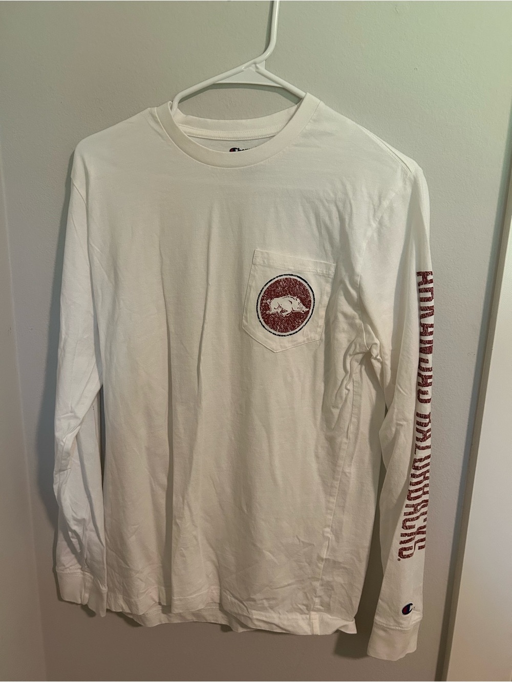 Arkansas Golden Retriever Long Sleeve Tee